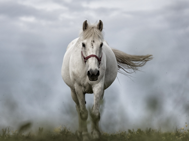 Webデザインで一番大切なこと